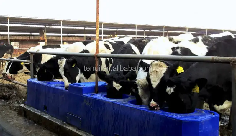 Cow Cattle Waterer Drinking Bowl Livestock Trough