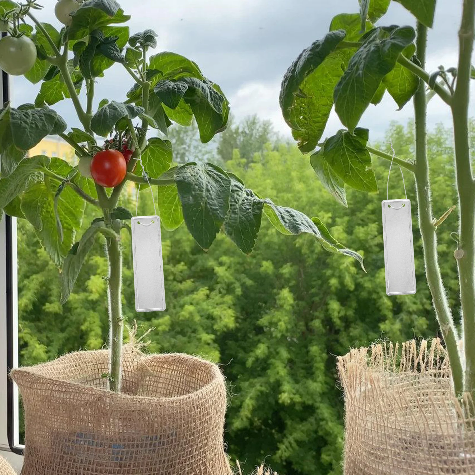 

50Pcs Aluminum Garden Plant Tags Metal Labels for Tree Marking Plant Identification Outdoor Nursery Garden Labels