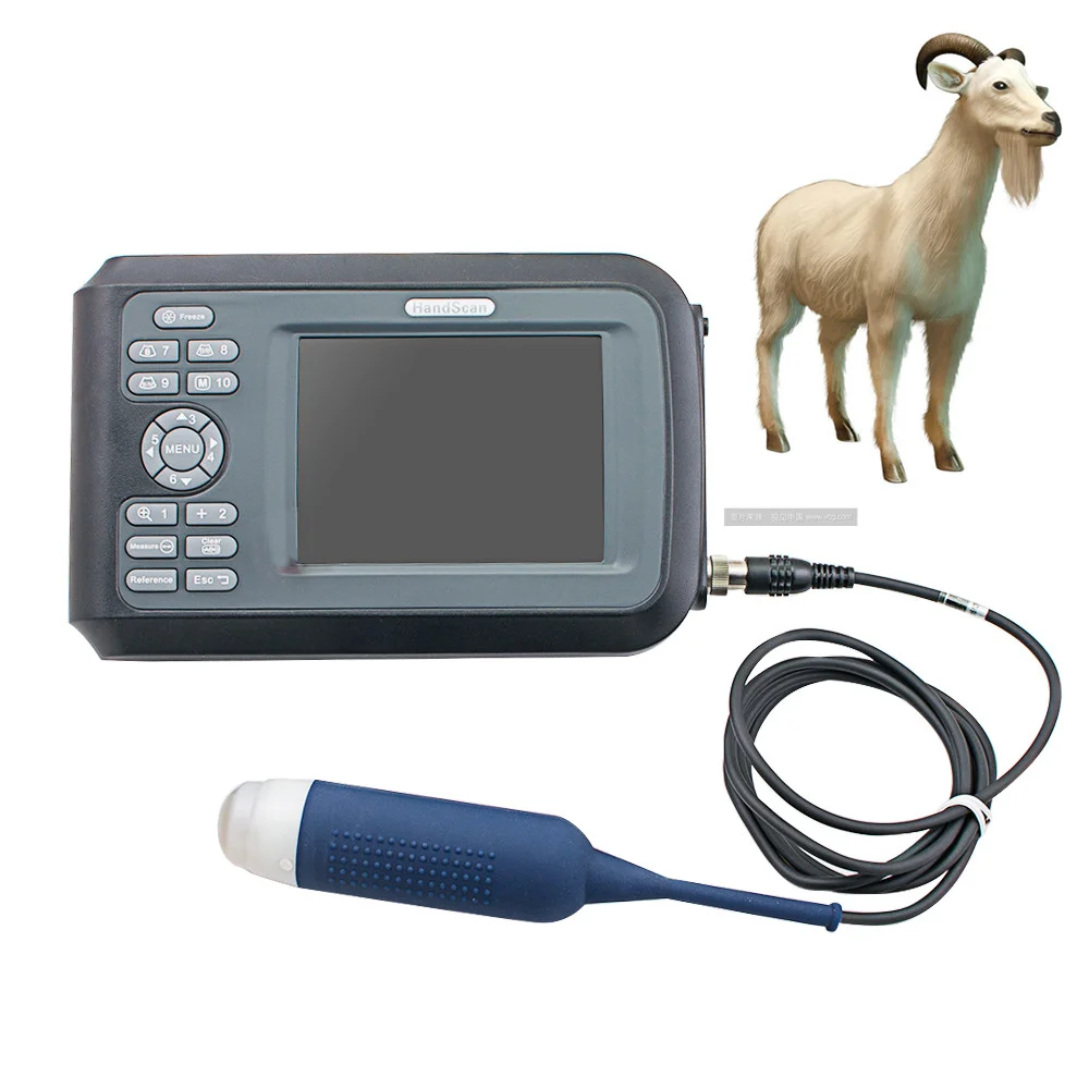 

Water Proof Bovine / Equine / Cattle Vet Ultrasound Scan Equipment Handheld Portable Veterinary Ultrasound Machine Usg for Cow