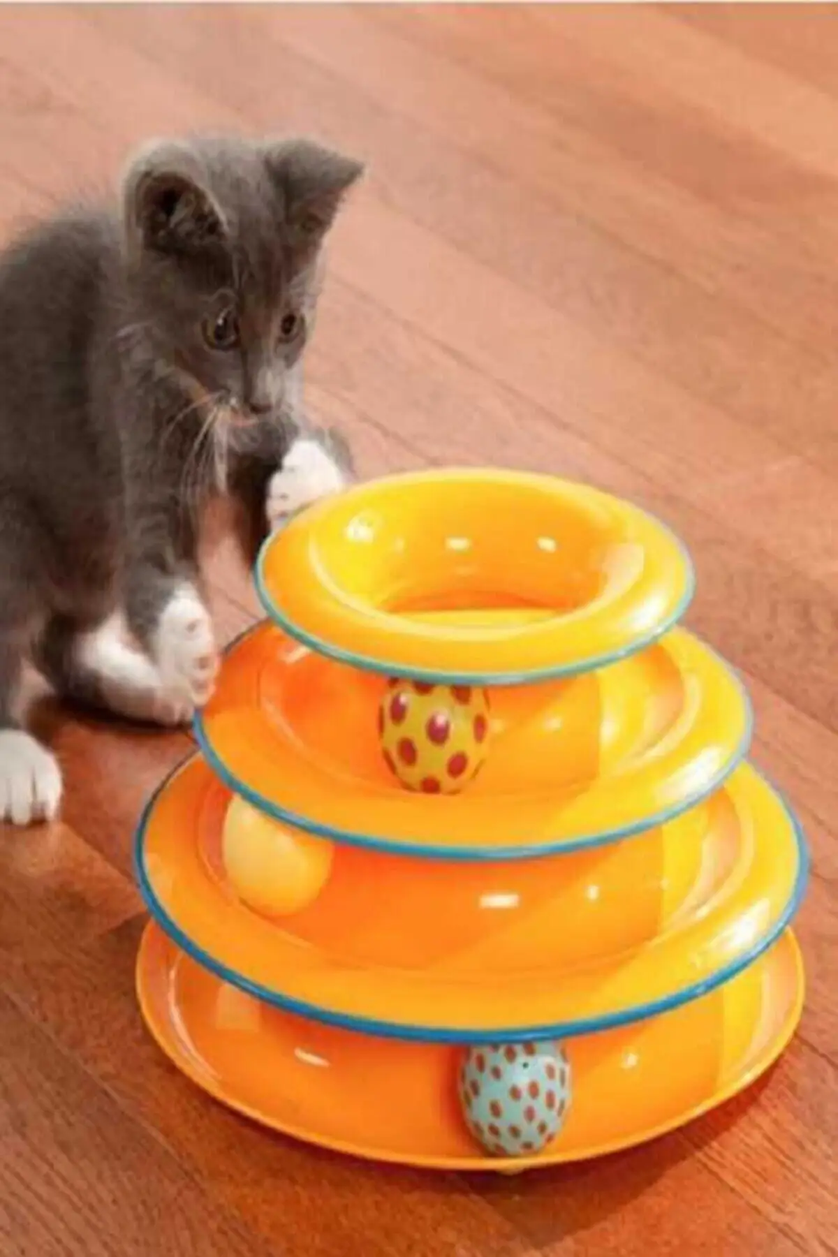 Bulk Round Cat Toy Cat Entertainment