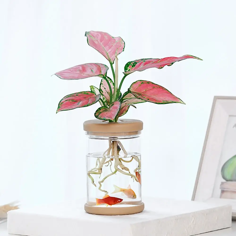 

Resin Material for Indoor/Outdoor Transparent Aquatic Plant Hydroponic Flowerpot Garden Supplies Home Decor Flower Planter