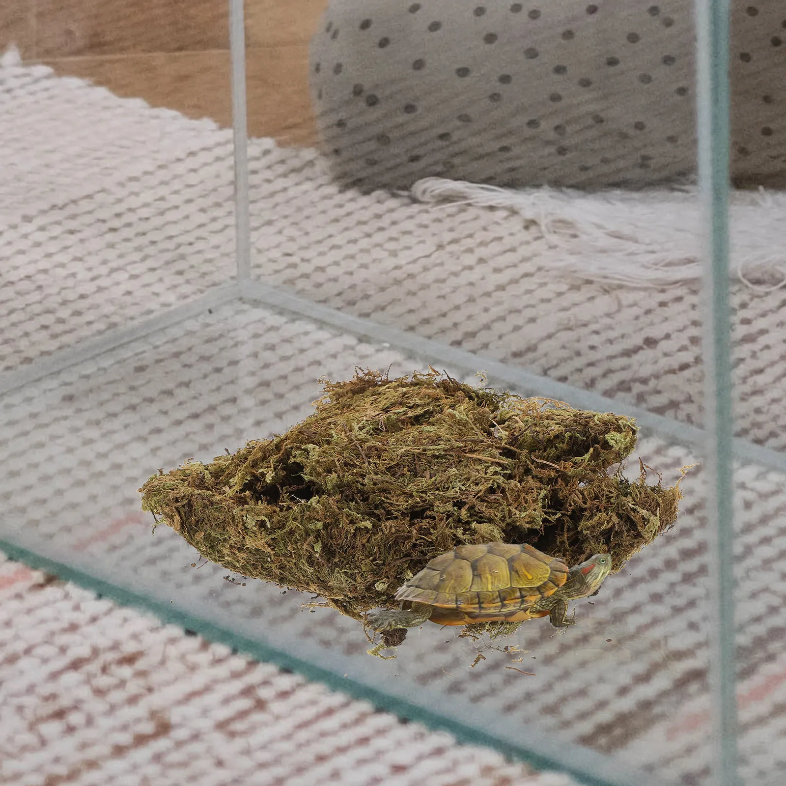 2 Packungen getrocknetes Moos – Preserved Moss Sheet Bewertung und Preis