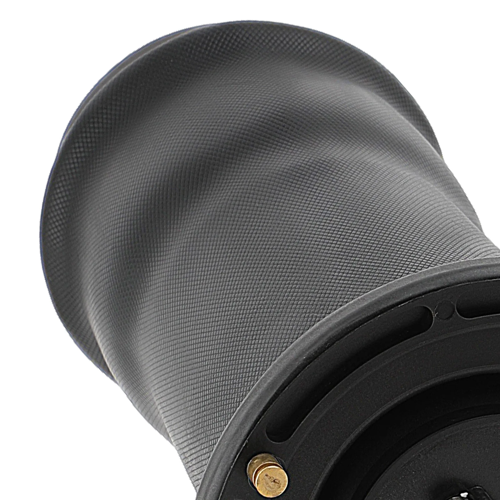 Mola de Ar Traseira L/R para Land Rover Discovery II Série II Sd