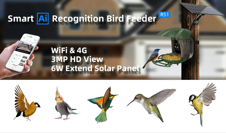 3MP 1296P i-Cam+ APP Solar Power 4G/WIFI IP Camera  Watch Bird Wireless AI Bird Feeding CCTV Monitor