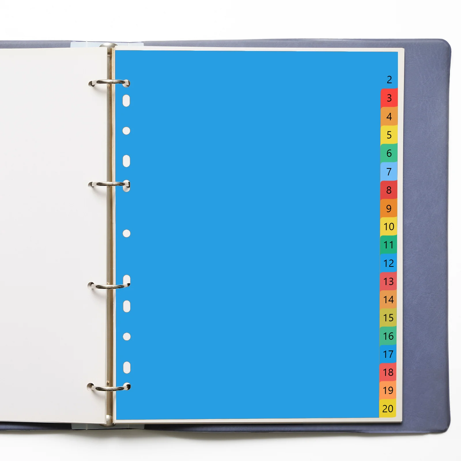 

20 Pages A4 Color Printed Index Dividers Plastic Tab Separator Insertable Binder Organizer Multi Color Page Divider for School