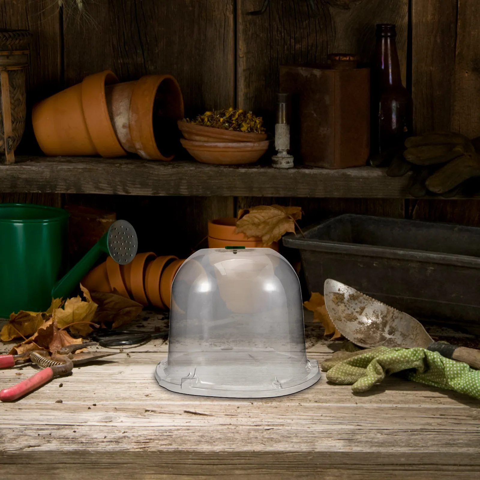 

Cloche For Plants Durable Plastic Cover Air Vent Transparent Humidity Dome Frost Snow Protection Lightweight Plant Protector