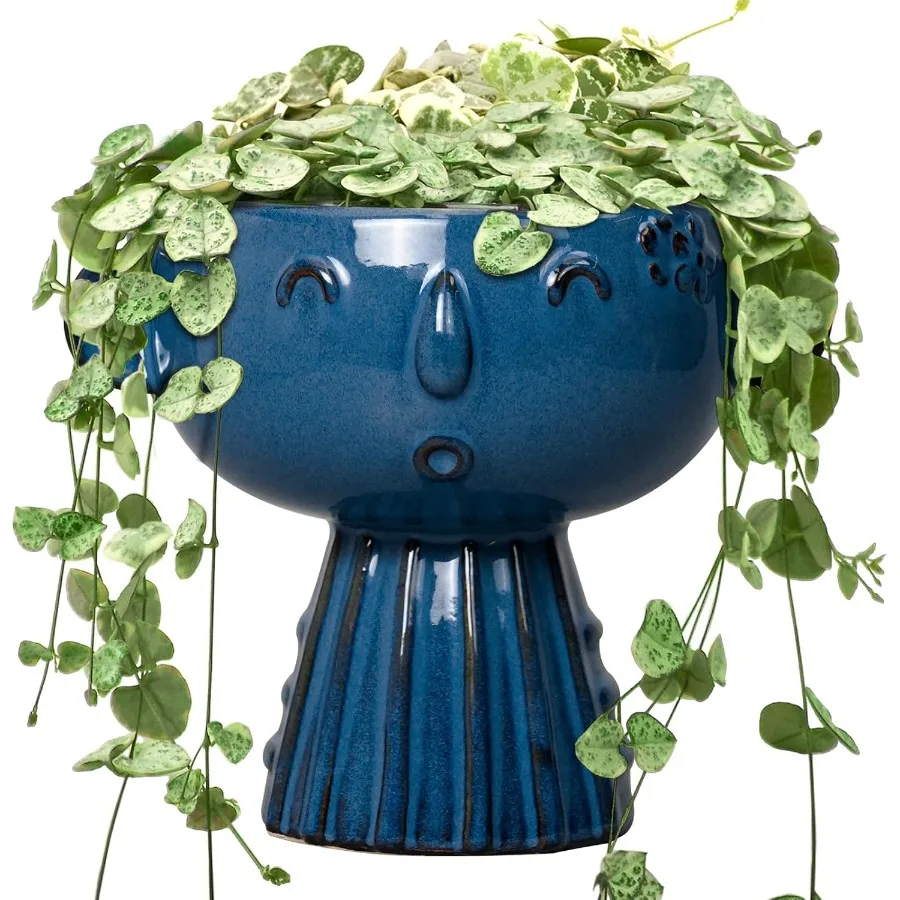 

Planter Pot 7 Inch Cute Face Planter for Indoor Outdoor Plants Ceramic Succulent Pot Round Flower Pot Present for Mother Chris