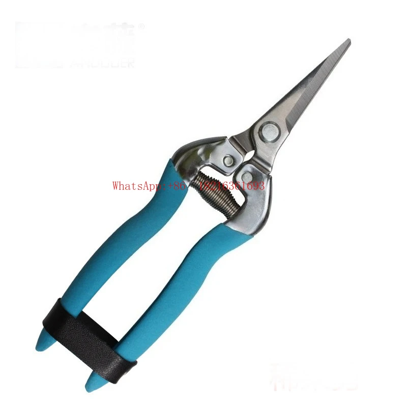 

AT-39 Fruit-thinning Scissors Pruning Fruit-picking Bud Scissors, Flower-pruning Thin Fruit-picking Grape Scissors