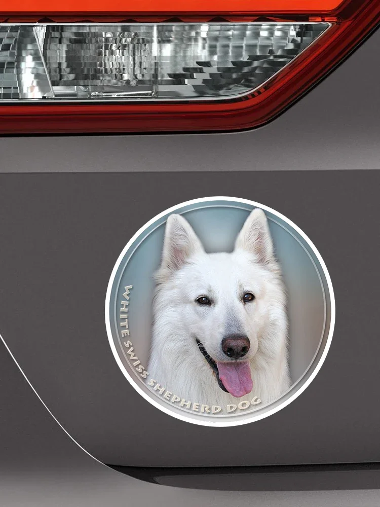 13cm Exterior Accessories Decal White Swiss Shepherd Dog Animal Car Stickers for Bumper Rear Window Laptop Refrigerator