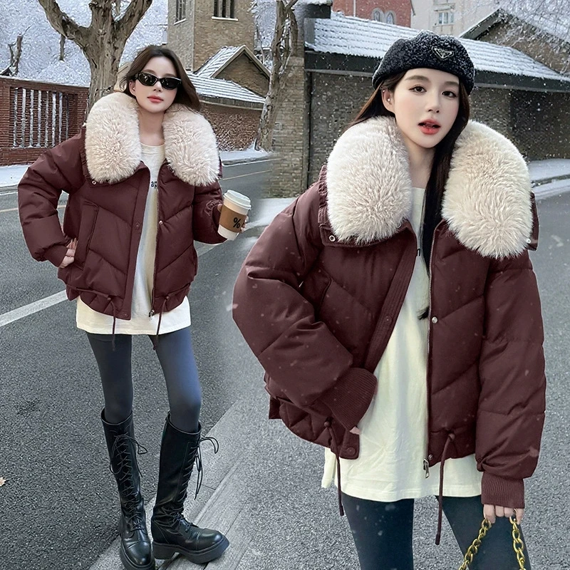 

2025 Winter New Big Fur Collar Thicken Cotton Padded Jacket Women Korean Loose Hooded Coat Female Casual Short Parkas Overcoat