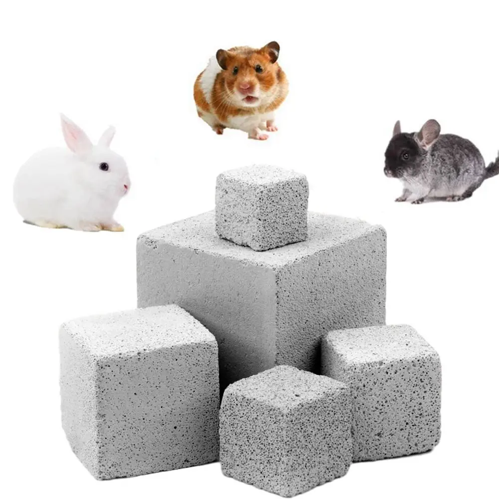 

Squirrel Guinea Pig Safety Rabbit Volcanic Stone Pet Dental Care Teeth Molar Stone Natural Mineral Pets Supplies Chew Toys