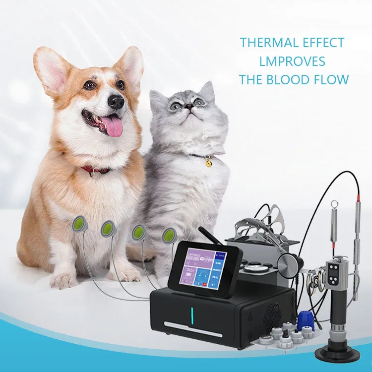 Extracorporeal physiotherapy tecar therapy electromagnetic muscle pain massage shock wave for pet