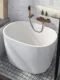 Bathtub Small Apartment Acrylic Internet Celebrity Mini Deep Bubble Japanese Household Independent Movable Constant