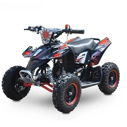 ATV 49Cc 2WD Air Cooled Quad Bike with 2 Stroke 4 Wheeler Off Road Buggy with Chain Drive Automatic Electric Start for Kids