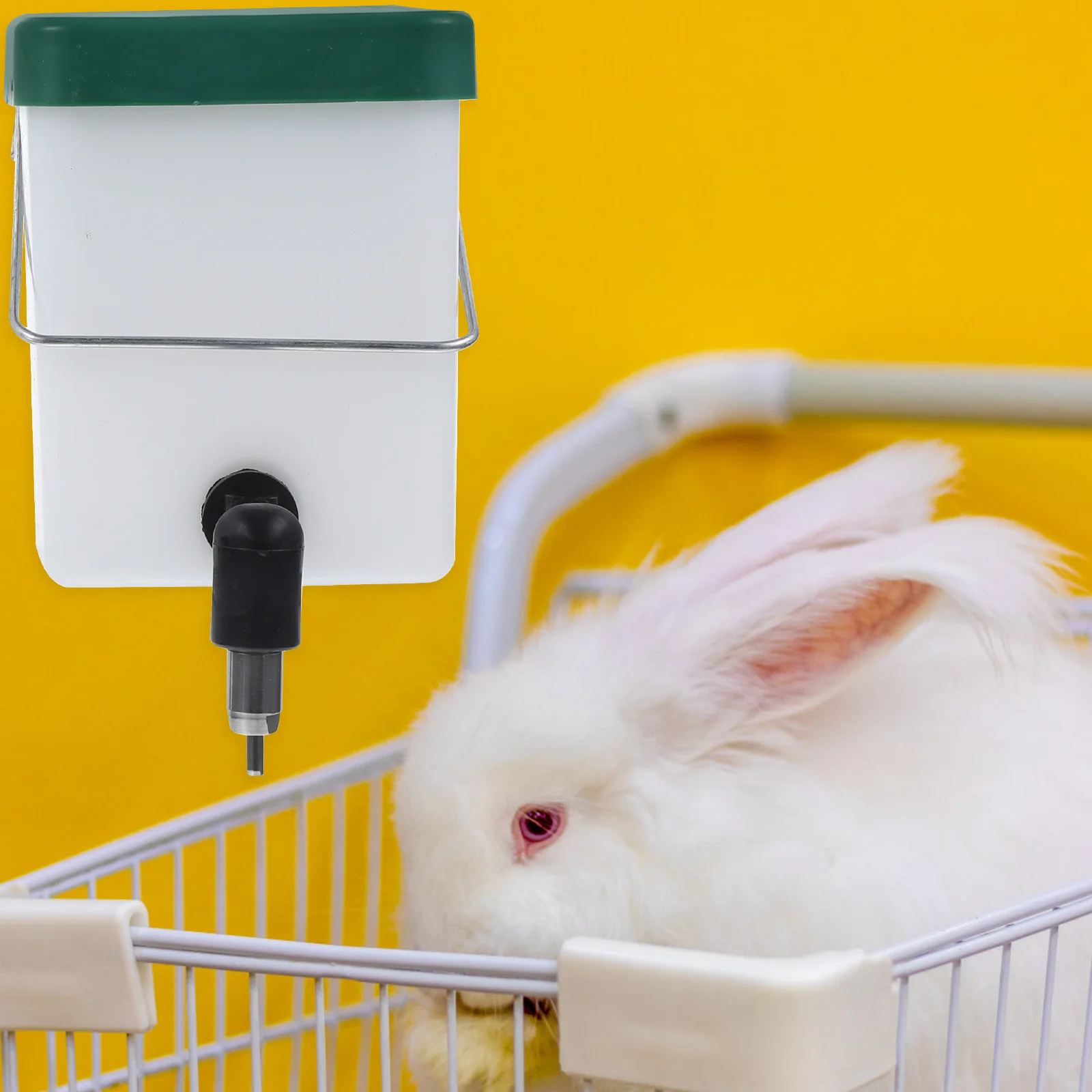 

2Pcs Water Bottle Automatic Drinking Equipment Leakproof Hanging Design Easy Install Pet Feeding for Bunny