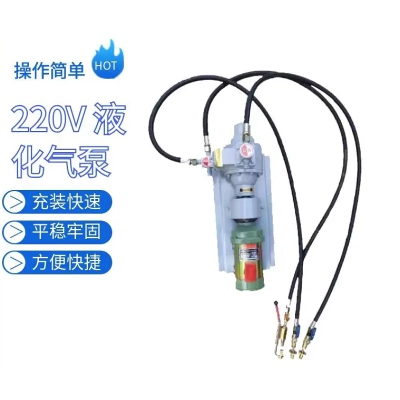12V liquefied gas air pump, 220V air pump, 48v liquefied gas truck pouring gas high pressure pump