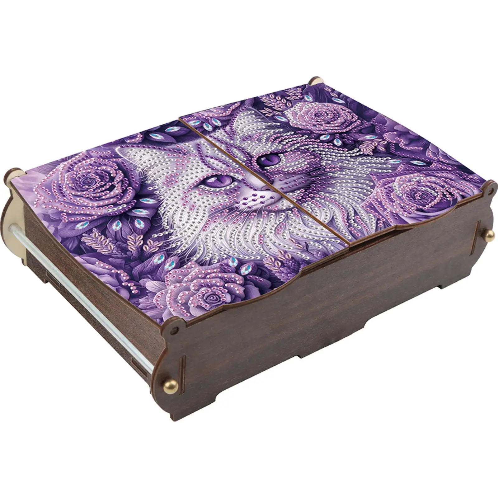 

Кейс-органайзер для колец, набор для алмазной вышивки DIY, большой емкости, для 5D алмазной вышивки, шкатулка для украшений, кейс для хранения украшений для алмазной живописи