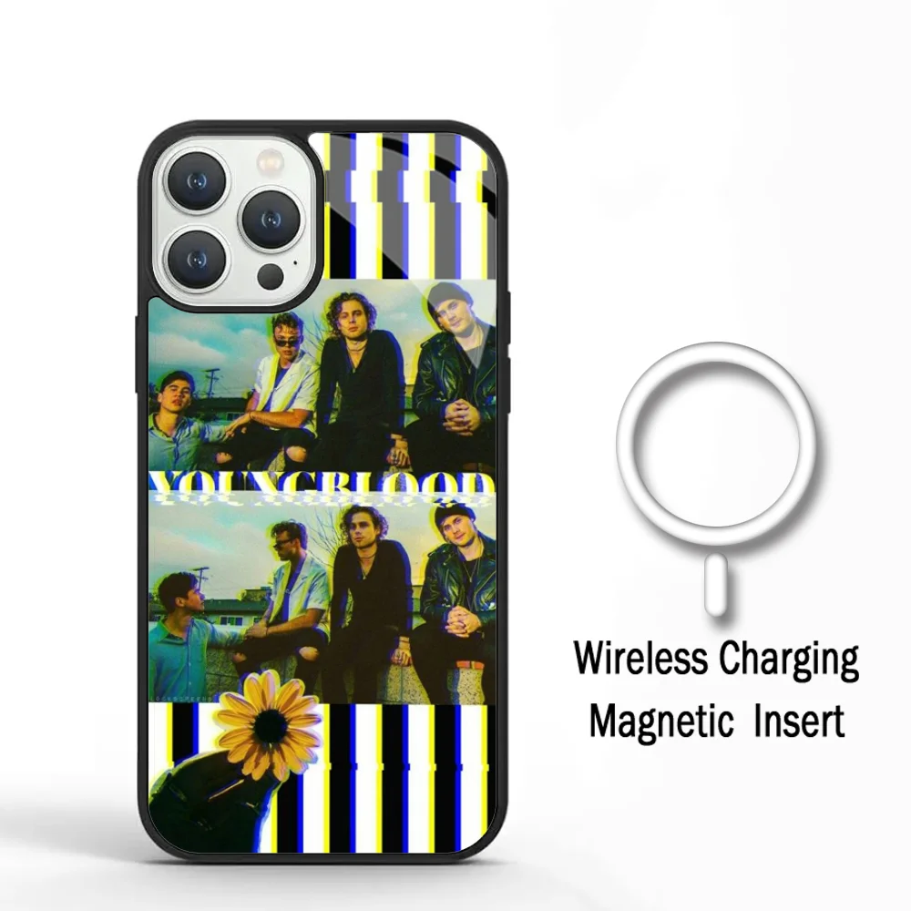 

5Sos Band Phone Case For IPhone 11 12 13 14 15 Plus Pro Max Acrylic Cover For Magsafe Wireless Charging