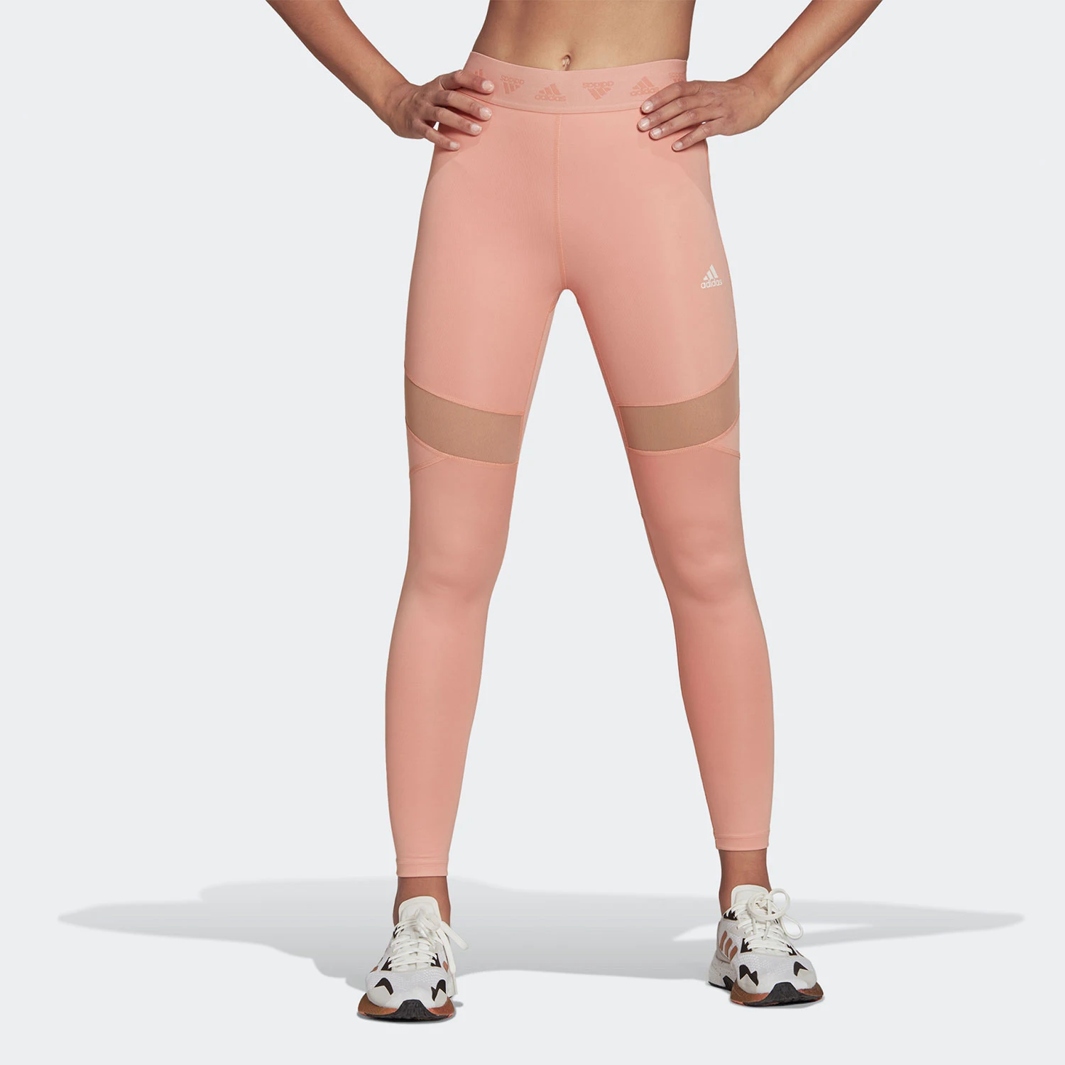 

Adidas Authentic 2025 Women's Training Sports High Waist Tight Long Pants HC2912