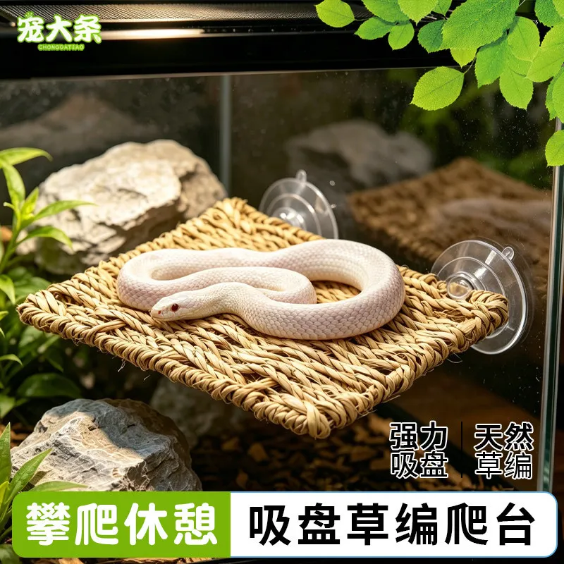 Reptile Grass Mat With Cups Climbing Platform For Geckos And Corn Snakes Sunbathing Platform Suction Cup Terrarium