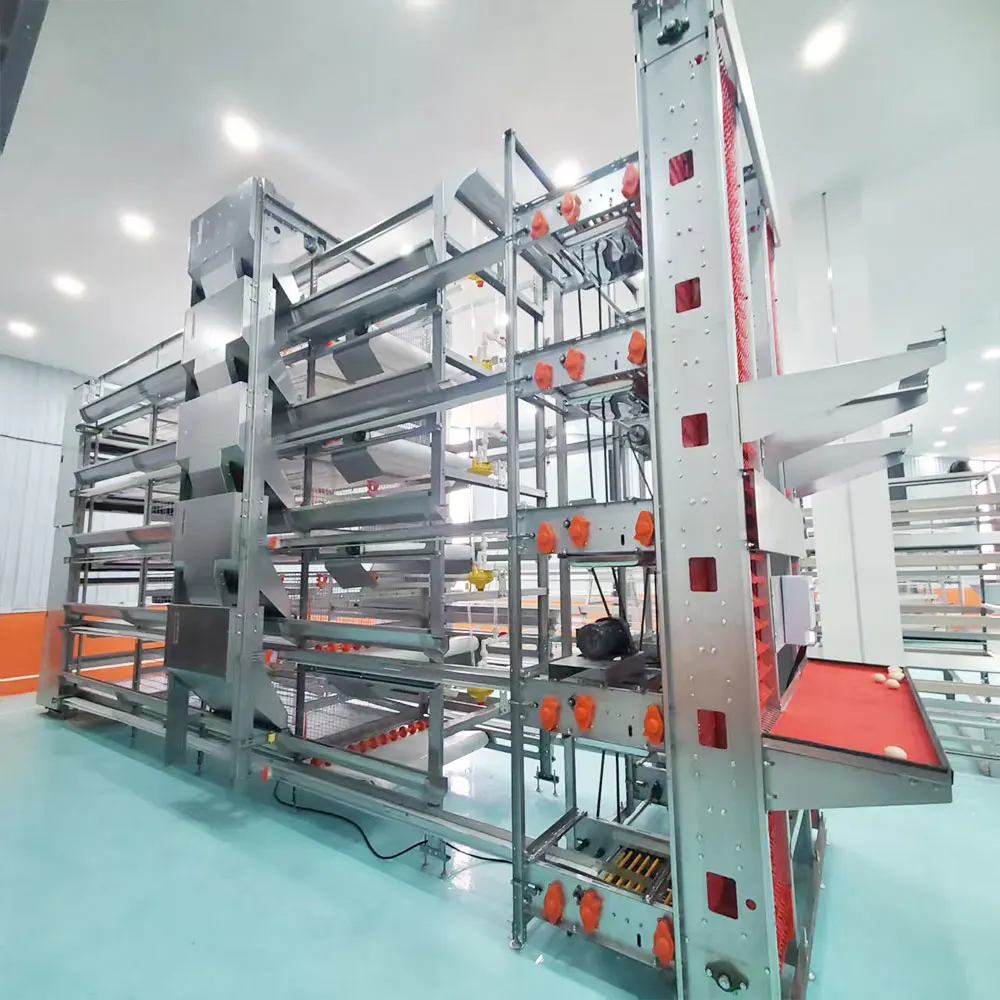 Labor Saving 20000 Birds Integrated Farm Project Solution High ROI Automated Management Automatic H Type Layer Chicken Cage