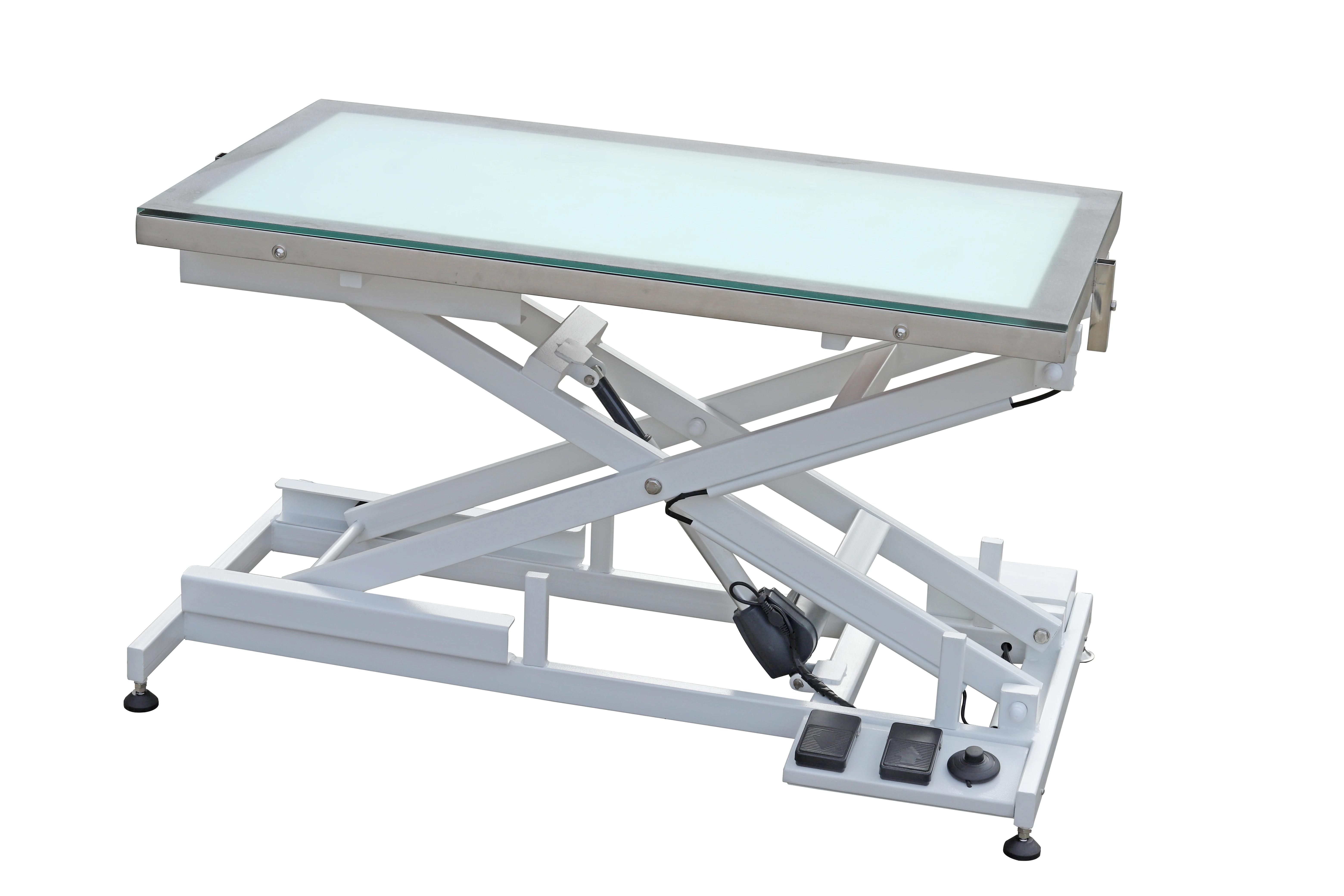 YSH Veterinary Electric Grooming Table With Light Sturdy Large Tempered Glass Tabletop LED Light Electric Lift Grooming Table