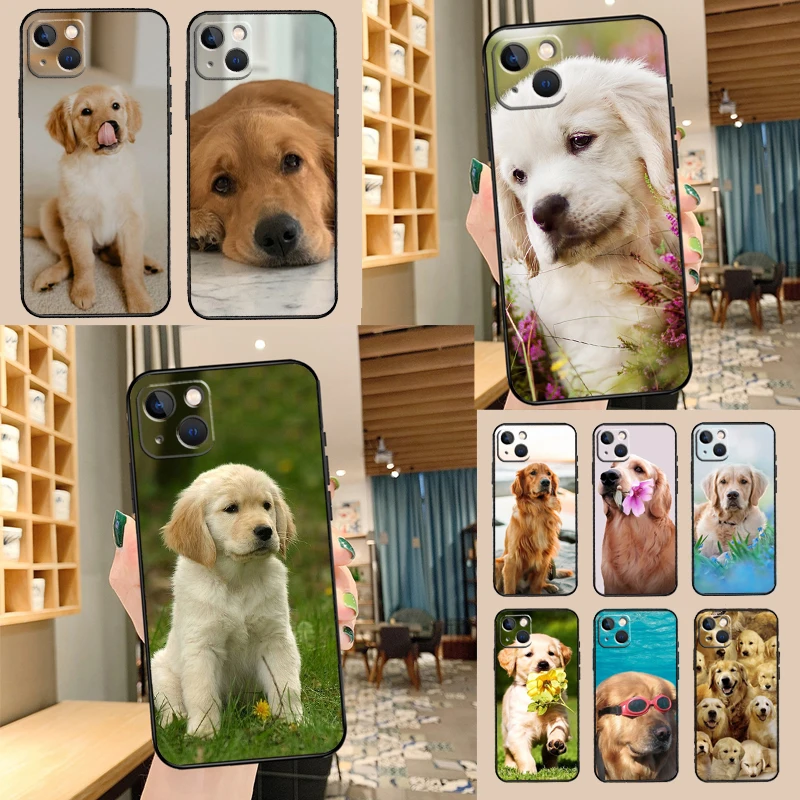 Golden Retriever Do… - image