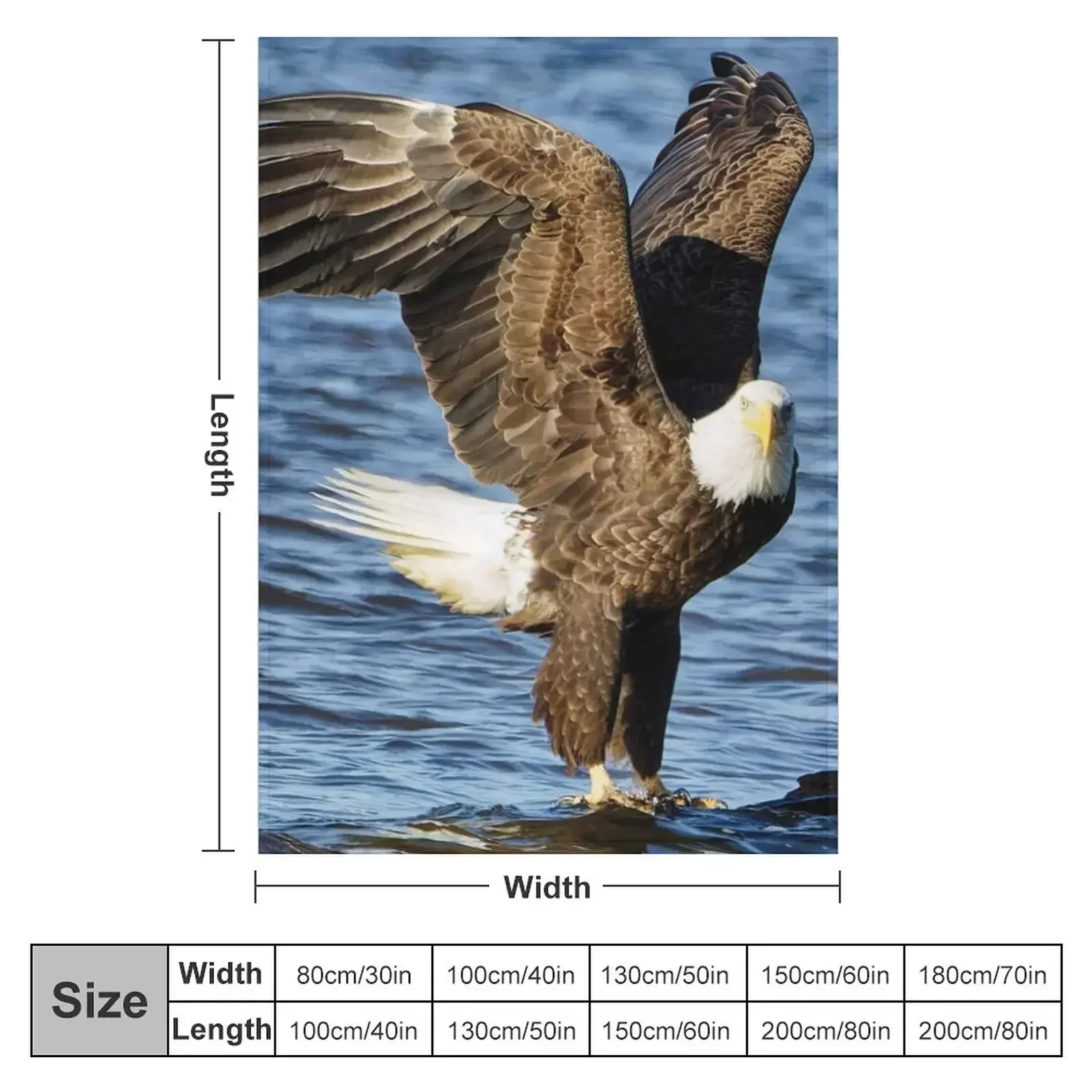 Bald Eagle landing in river Throw Blanket Blankets For Baby wednesday Decorative Beds Sofa Throw Soft Big Stuffeds Blankets