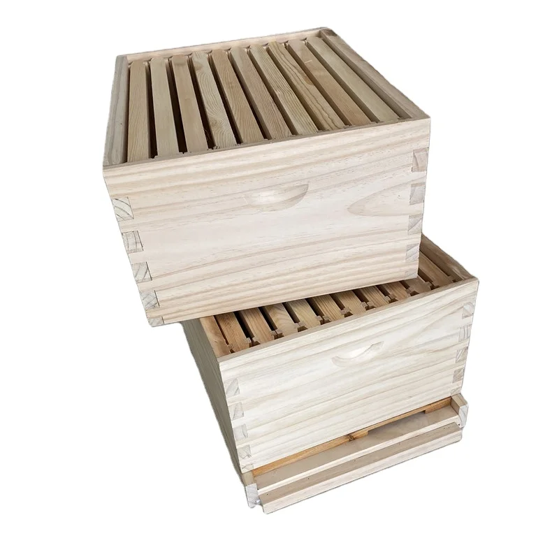 2024 Langstroth 10 Frame Type Wooden Beehives