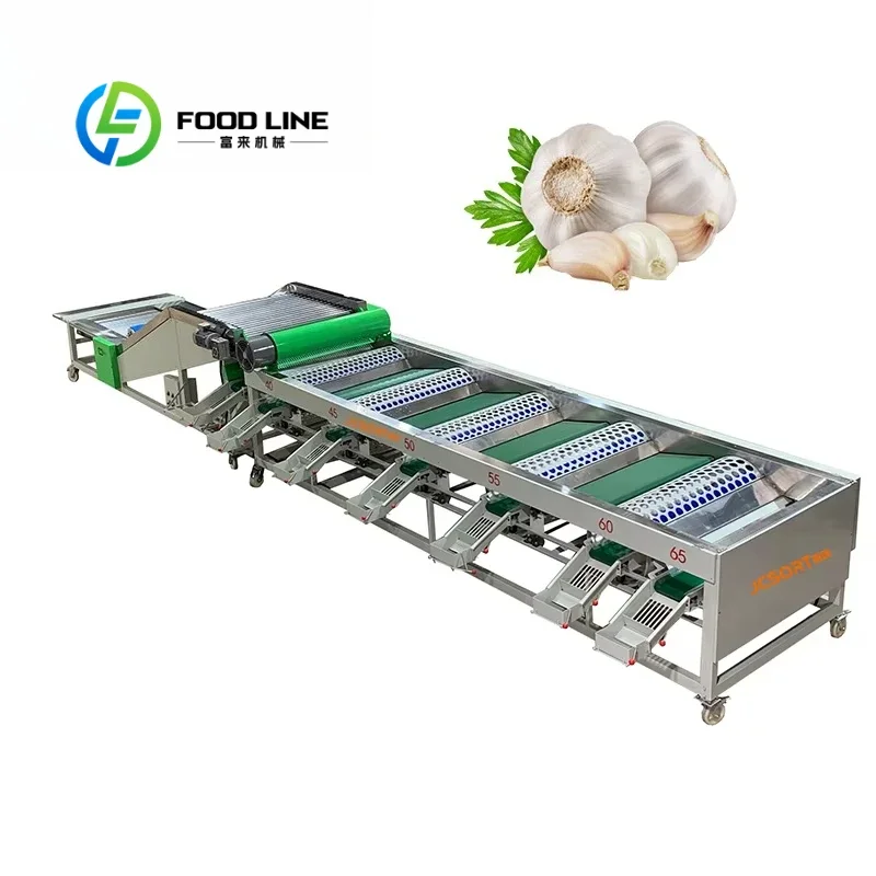 Customized Customizable garlic size classifier, garlic size sorting machine, garlic packaging machine