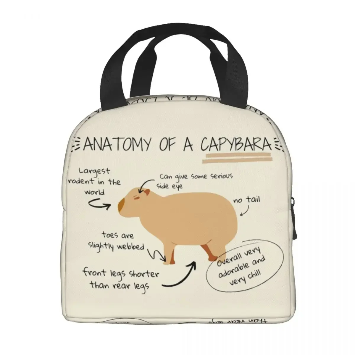 Anatomy Of A Capybara Thermal Insulated Lunch Bag Women Resuable Lunch Container for Kids School Children Storage Food Box