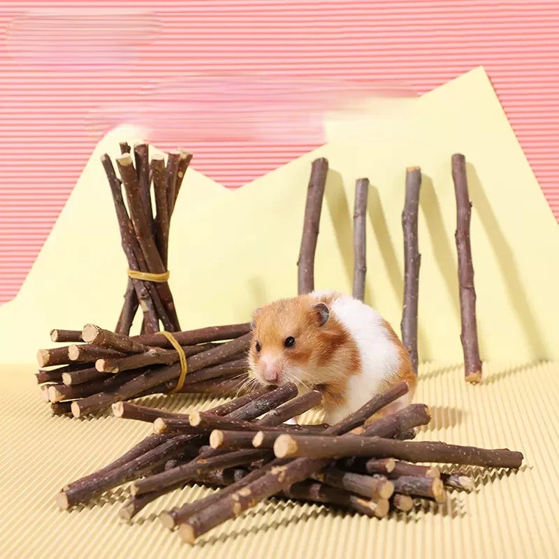 50g Hamster Molar Stick Apple Twig Sweet Bamboo Stick Rabbit Dutch Pig Chewing Twig Nibble Small Pet Toy Dried Molar Toys