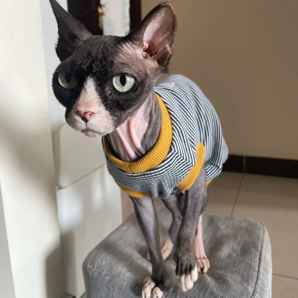 

Spring Summer Cotton T-Shirt for Sphynx Cat Clothing Soft Short Sleeves Striped Vest for Male Cats Elestic Coat For Devon Rex