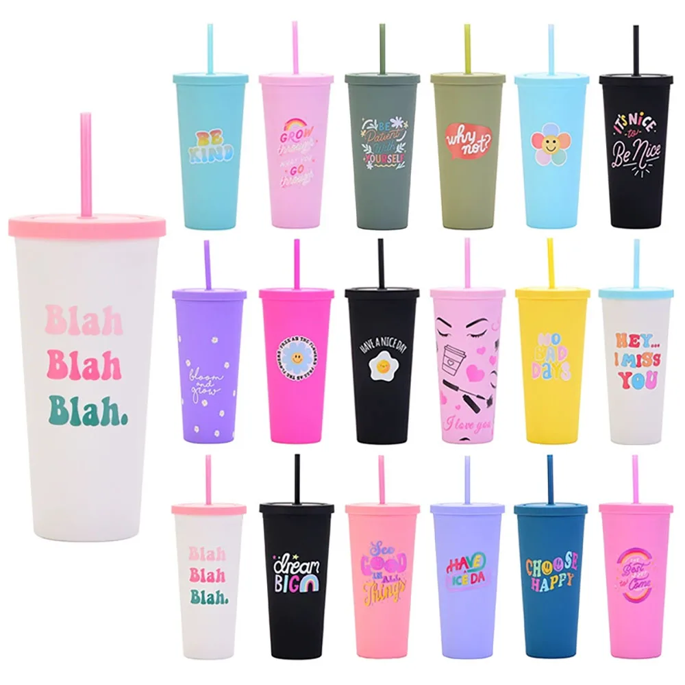 Portable Double Layered Plastic Straw Cup with Flat Lid Office Gifts Student Water Cup Eco-Friendly Cartoon Design for All