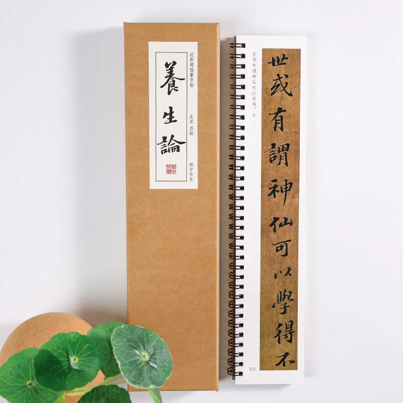 su-shi-regular-script-calligraphy-copybook-of-yangsheng-lun-close-range-enlarge-chinese-characters-cards-learning-for-beginners