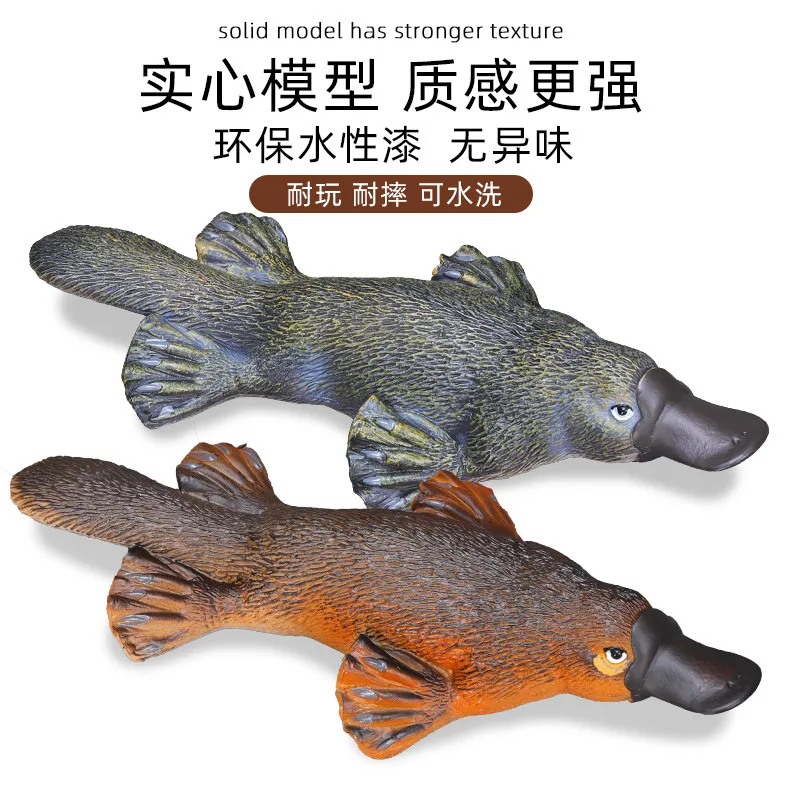 Cognitive Simulation Solid Model Platypus Australian Animal Wild Animal Model Ornaments Figure Birthday Presents
