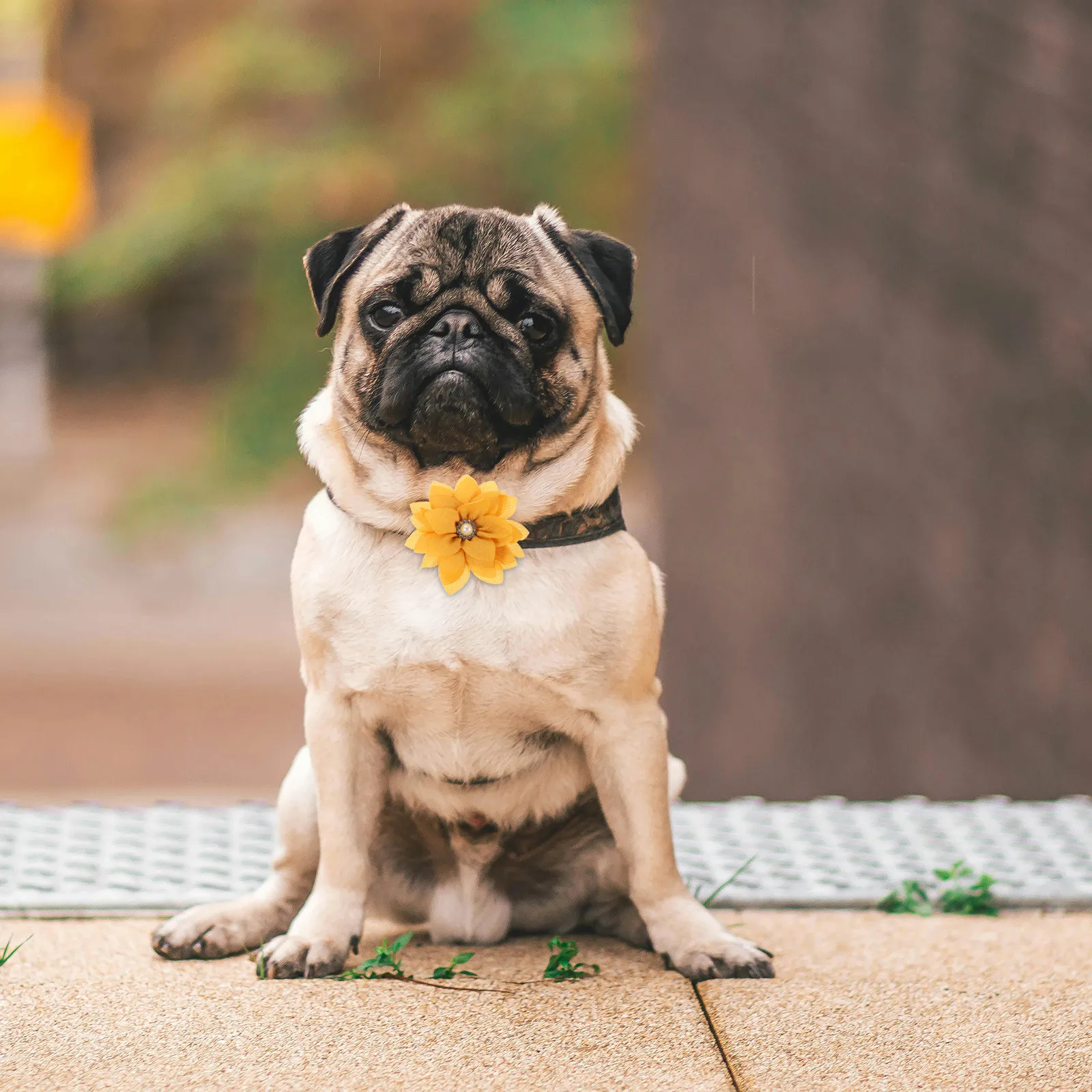 20 Piezas de Adornos Florales de Loto para Collares de Mascotas, Flores de Tela con Pedrería, Accesorios de Decoración para Collares de Perros y Gatos