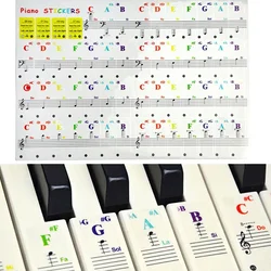 Transparent Colorful Pianos Keyboards Stickers Notes 15.5x40mm For 88/61/49/37 Keys Beginners Musical Instrument DIY Decoraction