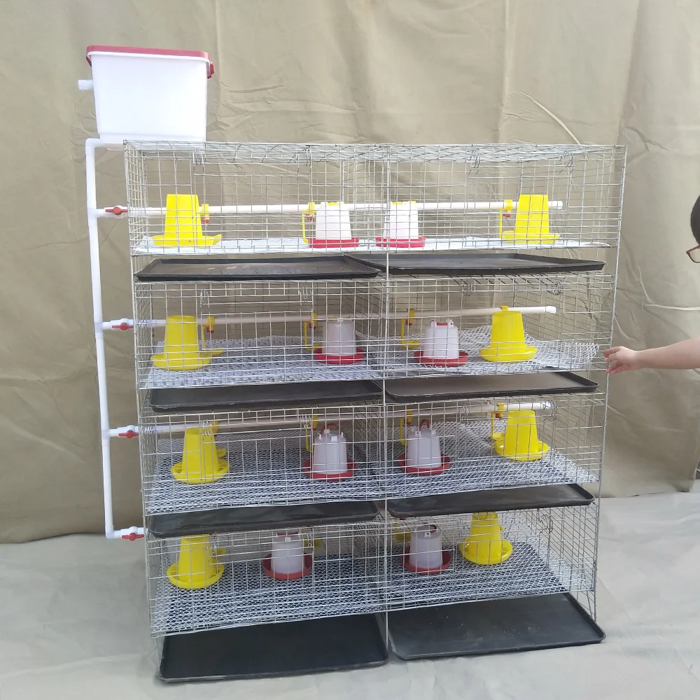 Клетка для брудера детского цыпленка, 3 или 4 яруса, 2 двери, от 90 до 320 на клетку, используемая для разведения маленькой курицы