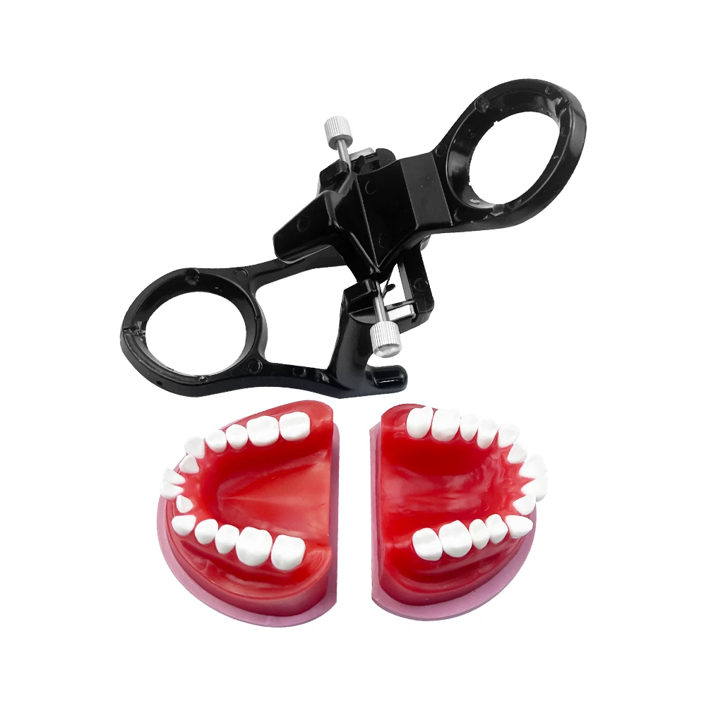 

Dental Orthodontic Treatment Model Malocclusion Teeth Typodont Demonstration Tools For Dentist Practice Training Teaching Hot