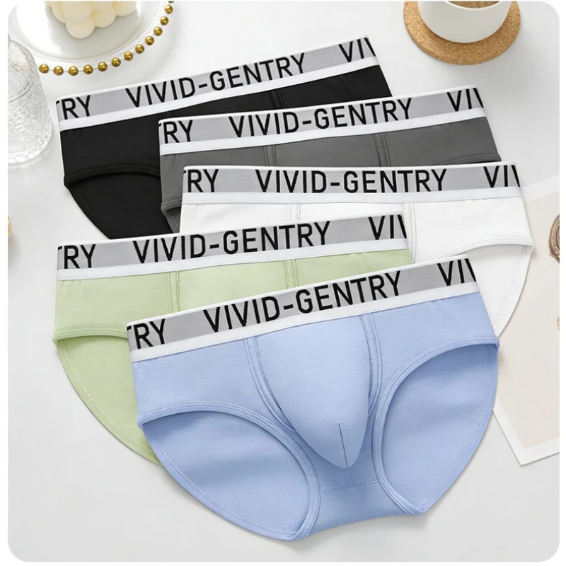 Men's Panties Briefs U Convex Pouch Underwear Double-Layer Breathable Underpants String Homme Cueca Male Bikini Slip Homme