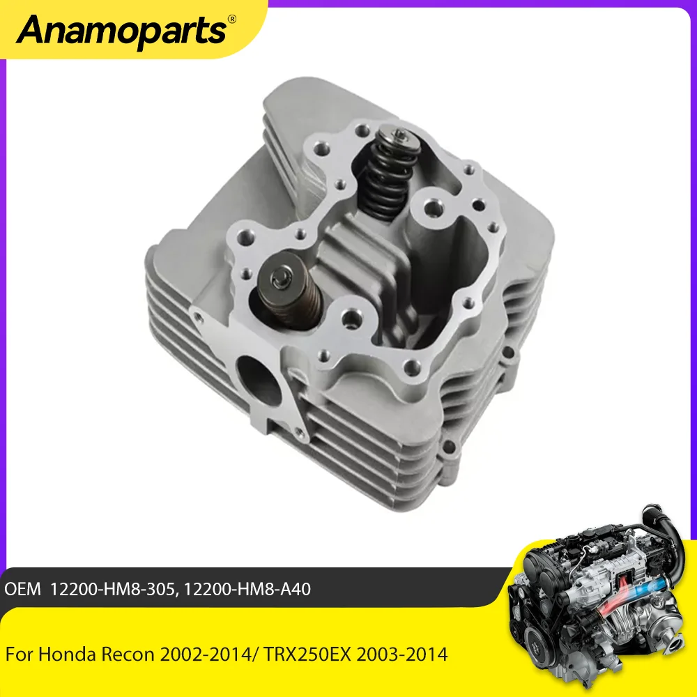 Motor Parts STD 68.5mm 250cc Cylinder Head For Honda TRX250TE TRX250TM TRX250EX TRX250X 2003-2014 12200-HM8-305 12200-HM8-A40