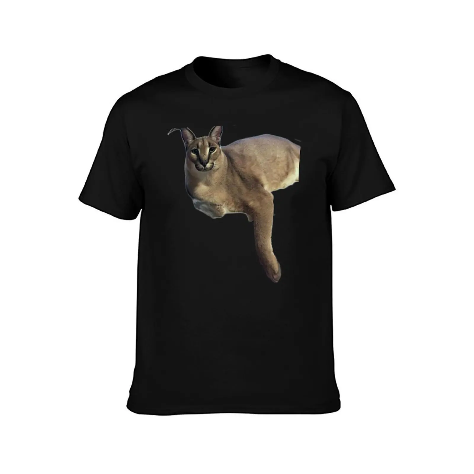 Big Floppa T-Shirt t shirts for man graphic funny T-Shirt