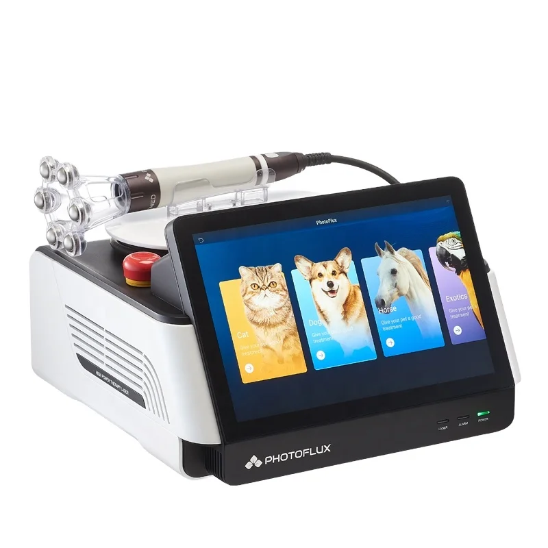 Diode Laser 980nm Pet Hospital 60w Class IV Physiotherapy Veterinary Therapeutic Laser Equipment