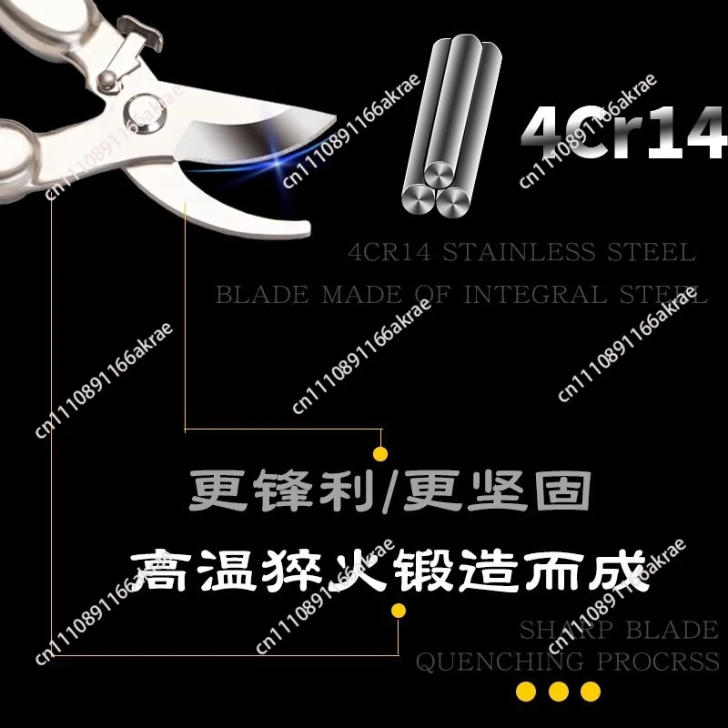 for Scissors, pruning shears, stainless steel gardening flowers, plants, grapes, fruit trees, fruit-picking plants