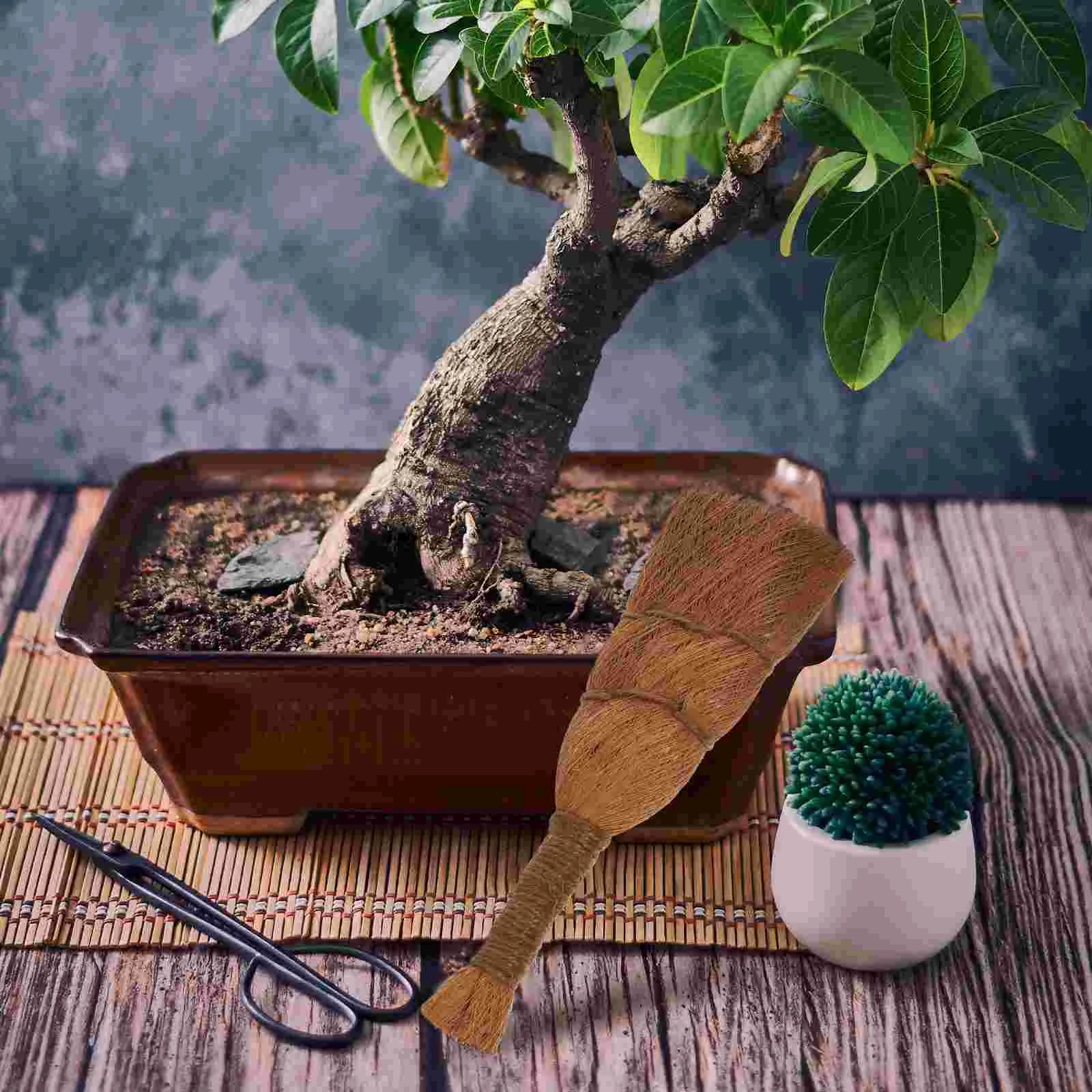 Bonsai-Bürste, Palmfaser, Reinigung, Gartenbedarf, Blumentopf, Pflanzgefäß, Autowäsche, braune Seide, Multifunktionstöpfe