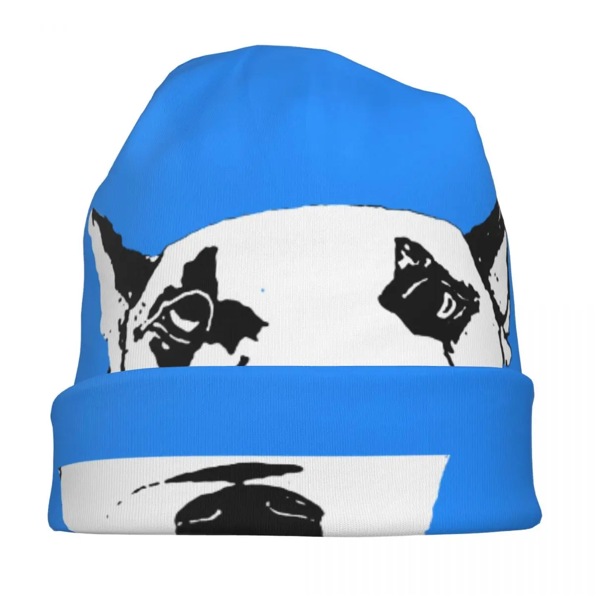 Bull Terrier Dog Bonnet Hats Cool Street Skullies Beanies Hats Unisex Knitting Hats Warm Multifunction Cap