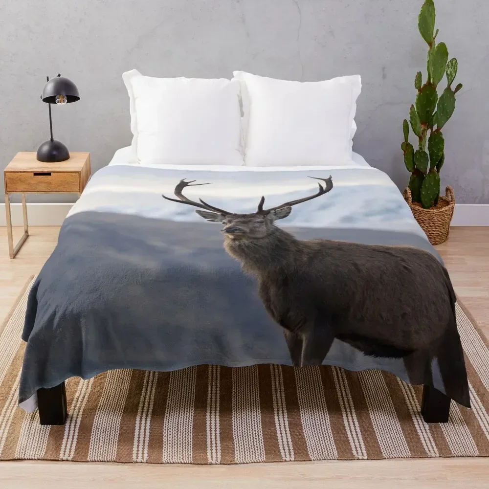 

Red Deer Stag in Highland Scotland Throw Blanket sofa bed For Sofa Thin Sofa christmas gifts Blankets