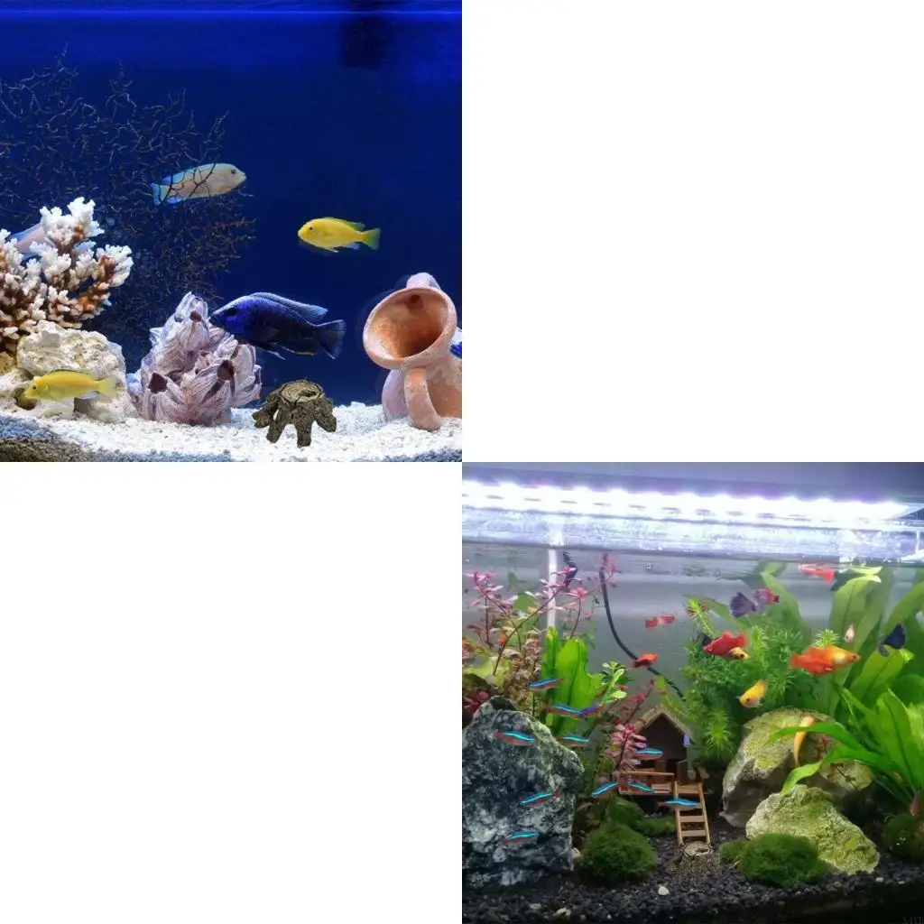 

X4YE 2pcs Reptiles Box Shelter Hidings Habitat Aquariums Fish Hideouts Shelter Hidings for Fish and Shrimp