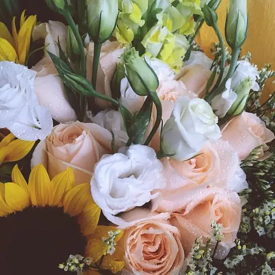 Holybro Pixhawk Rpi…